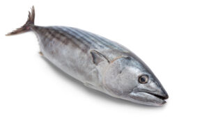 tonijn